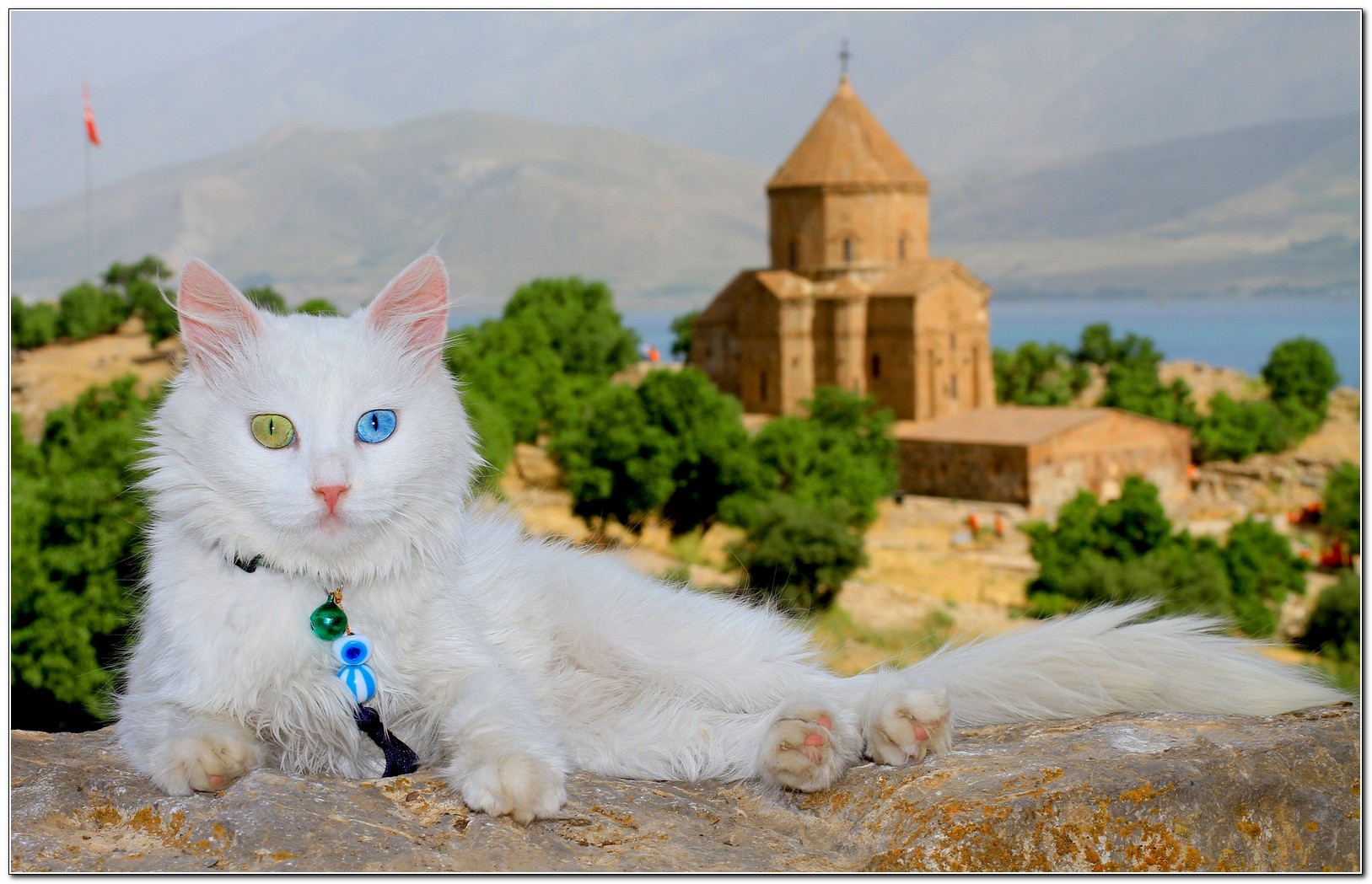 Van Turkey Tour - Visit Lake Van and local attractions